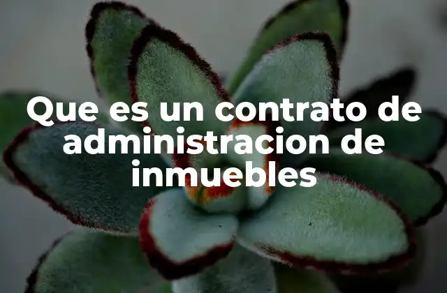 Que es un Contrato de Administracion de Inmuebles