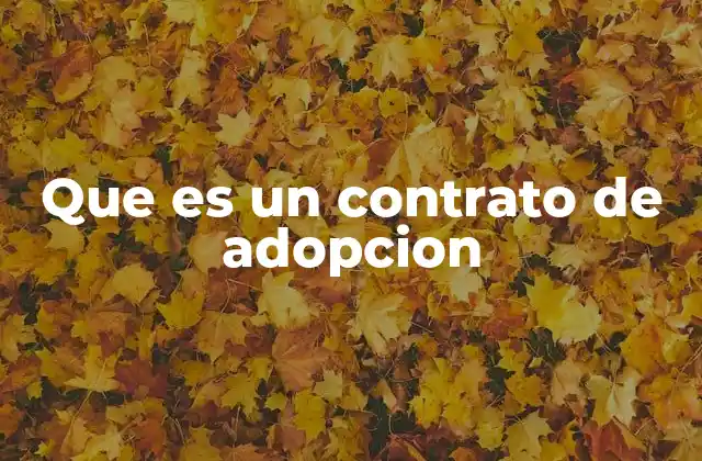 Que es un Contrato de Adopcion
