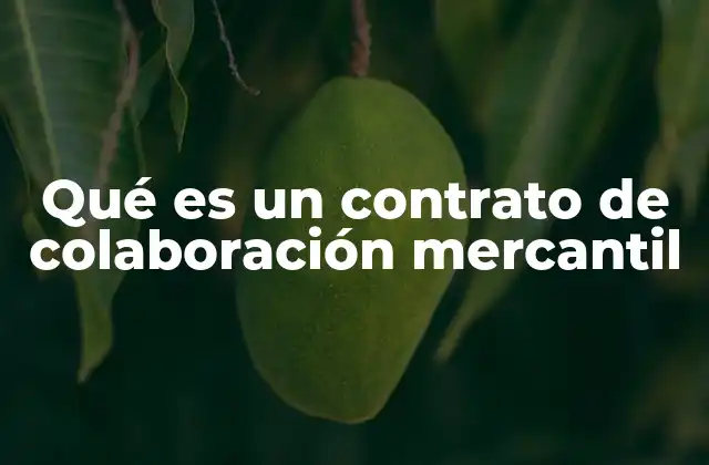 Qué es un Contrato de Colaboración Mercantil