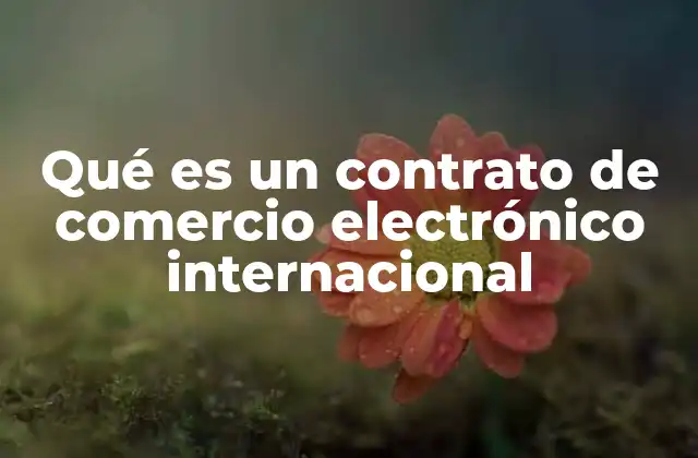 El papel del comercio digital en los contratos internacionales