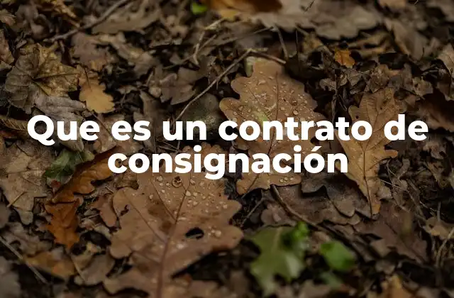 La importancia del consignatario en el proceso comercial