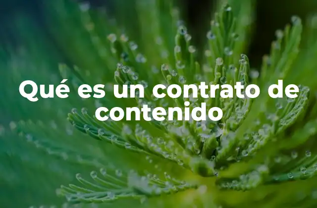 Qué es un Contrato de Contenido