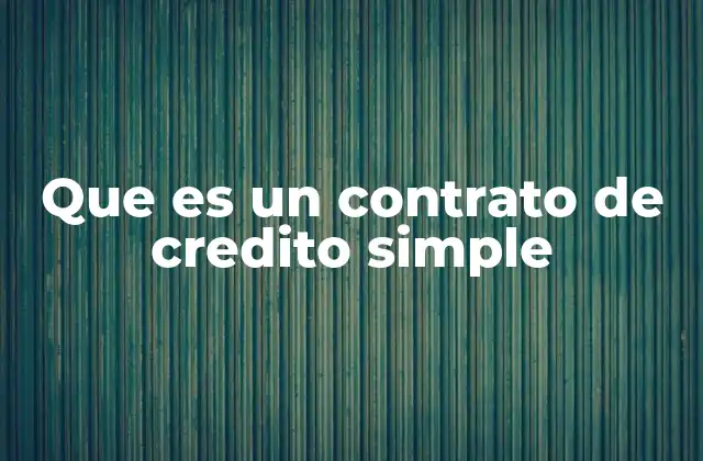 Que es un Contrato de Credito Simple