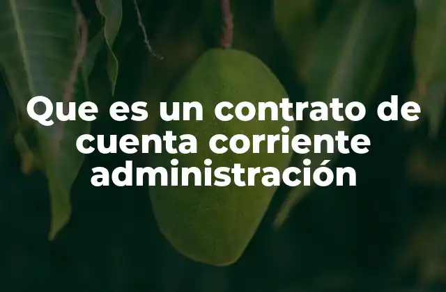La importancia de un contrato en la gestión financiera