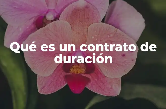 Qué es un Contrato de Duración