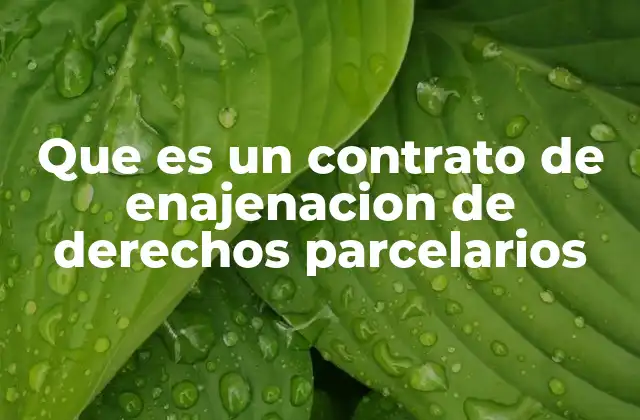 Que es un Contrato de Enajenacion de Derechos Parcelarios