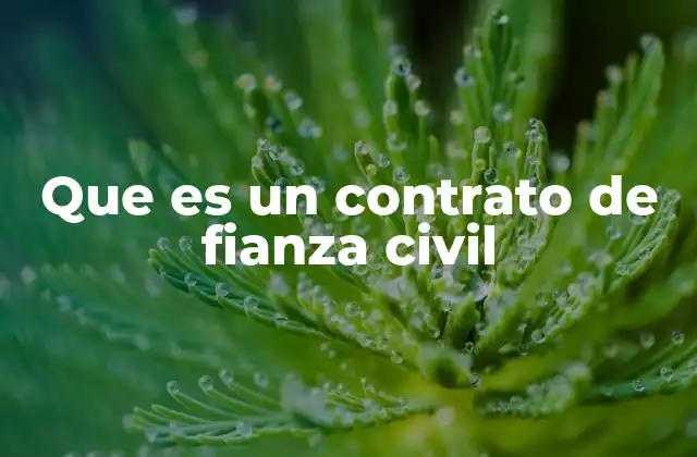 Que es un Contrato de Fianza Civil