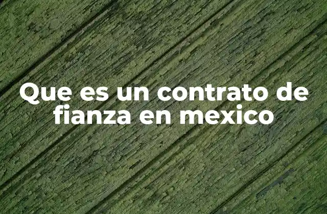 Que es un Contrato de Fianza en Mexico