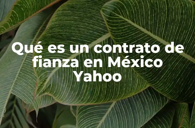 Qué es un Contrato de Fianza en México Yahoo