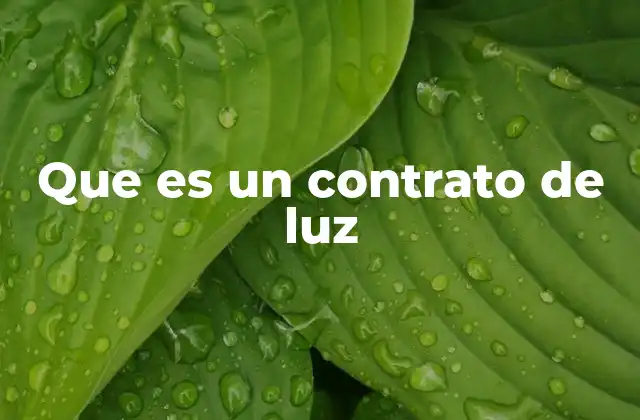 Que es un Contrato de Luz 2 Cómo se estructura un contrato de suministro eléctrico