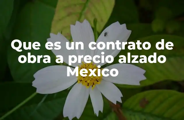 Que es un Contrato de Obra a Precio Alzado Mexico