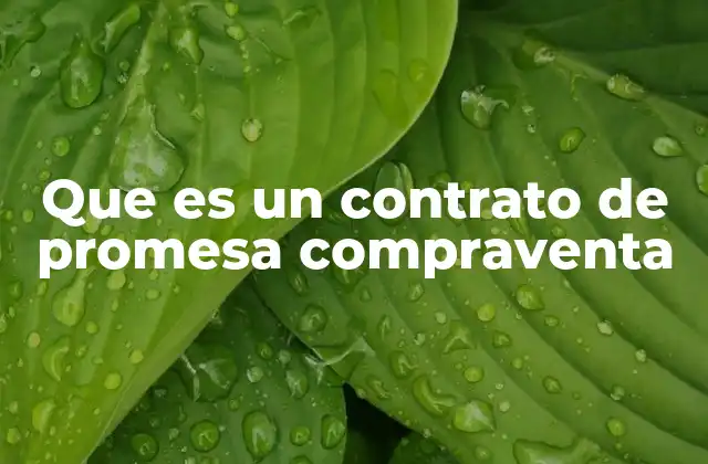 Que es un Contrato de Promesa Compraventa