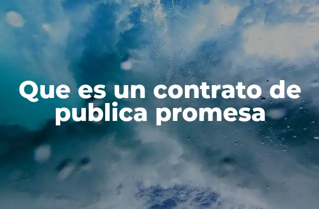 Que es un Contrato de Publica Promesa