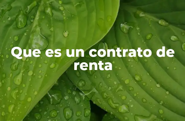 Que es un Contrato de Renta