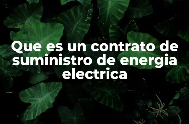 Que es un Contrato de Suministro de Energia Electrica