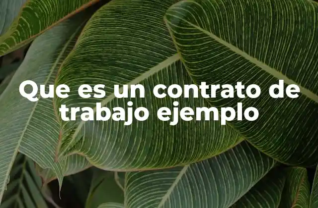 Que es un Contrato de Trabajo Ejemplo