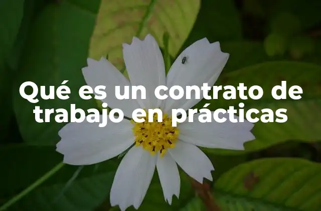 Qué es un Contrato de Trabajo en Prácticas