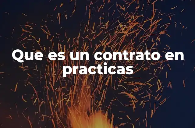 Que es un Contrato en Practicas
