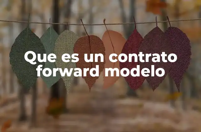 Que es un Contrato Forward Modelo