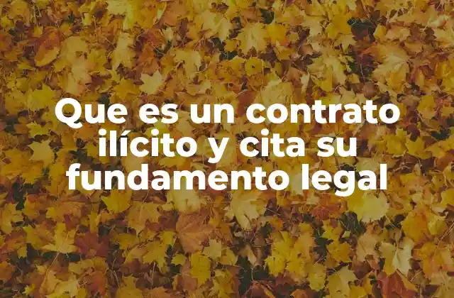 Que es un Contrato Ilícito y Cita Su Fundamento Legal