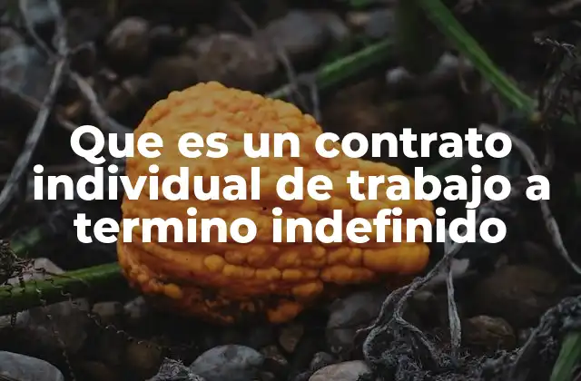 Que es un Contrato Individual de Trabajo a Termino Indefinido