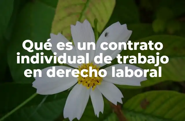 Qué es un Contrato Individual de Trabajo en Derecho Laboral