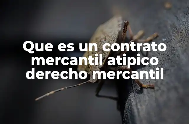 Que es un Contrato Mercantil Atipico Derecho Mercantil