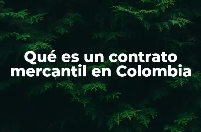 Qué es un Contrato Mercantil en Colombia 2 El papel del contrato mercantil en el desarrollo económico