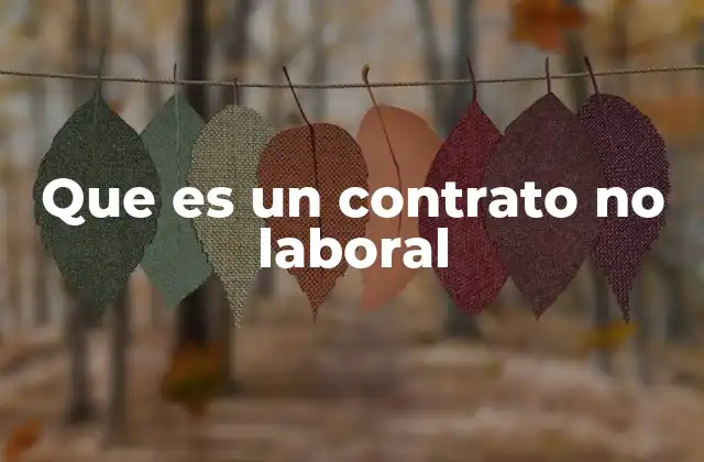Que es un Contrato No Laboral