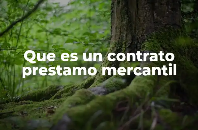 Características del contrato de préstamo mercantil