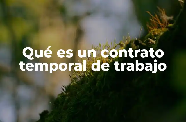 Qué es un Contrato Temporal de Trabajo