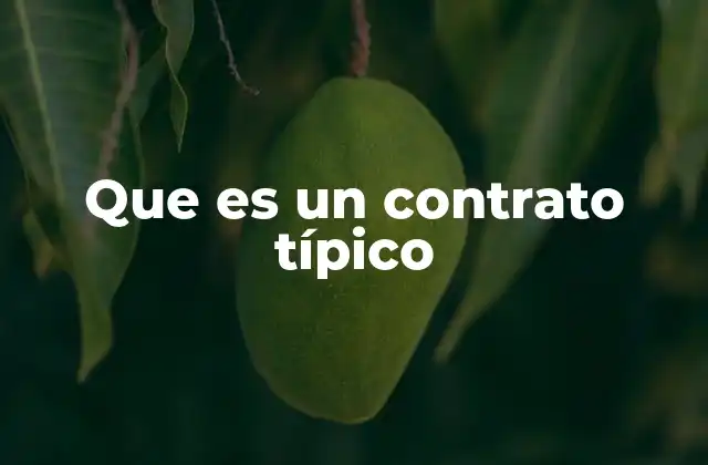 Que es un Contrato Típico 2 Diferencias entre contrato típico y atípico