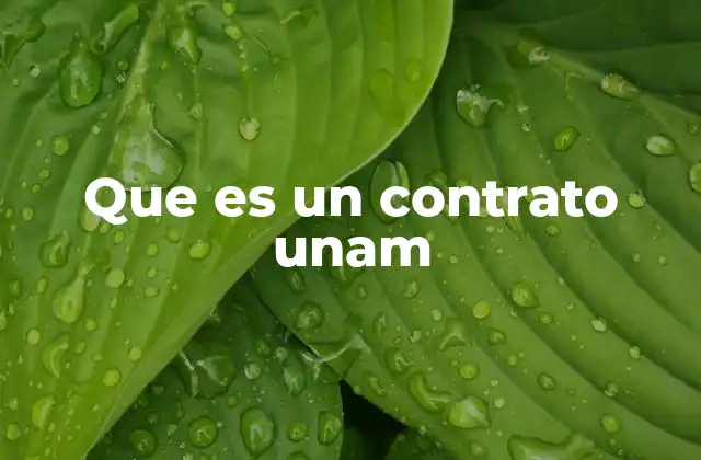 Que es un Contrato Unam