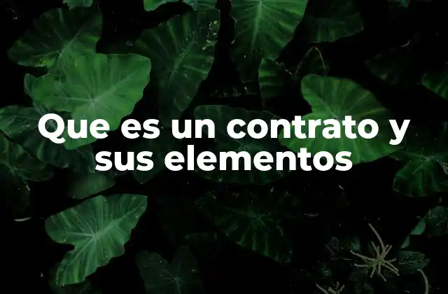 Que es un Contrato y Sus Elementos