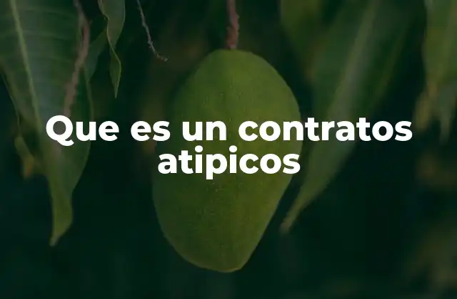 Que es un Contratos Atipicos