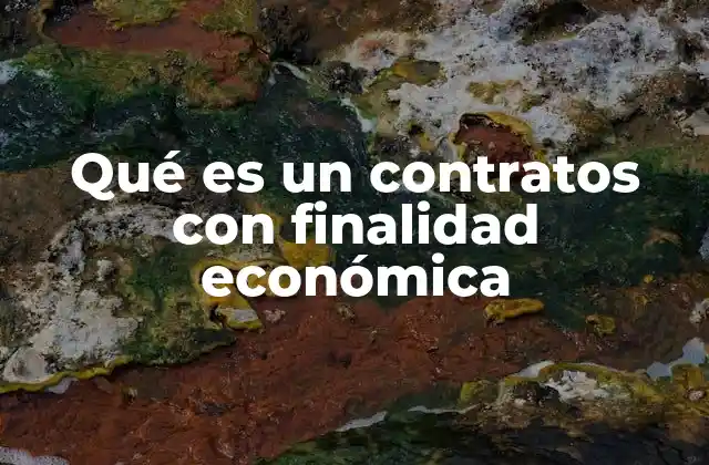 Qué es un Contratos con Finalidad Económica