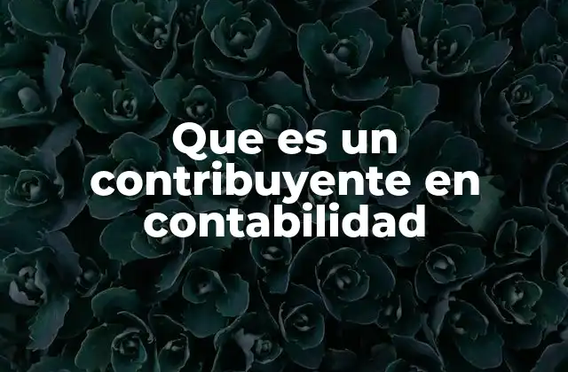 Que es un Contribuyente en Contabilidad