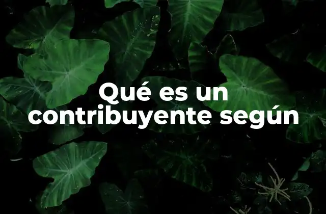 Qué es un Contribuyente según