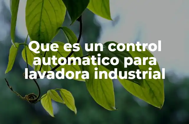 Que es un Control Automatico para Lavadora Industrial