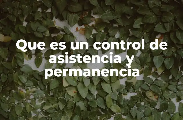 Que es un Control de Asistencia y Permanencia