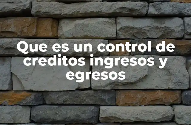 Que es un Control de Creditos Ingresos y Egresos