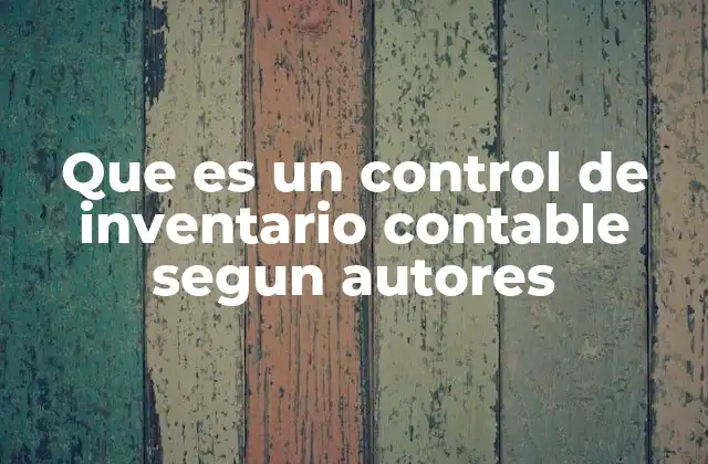 Que es un Control de Inventario Contable Segun Autores