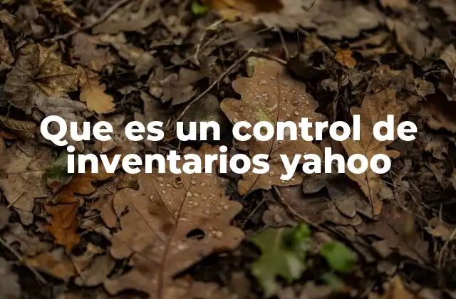 Que es un Control de Inventarios Yahoo