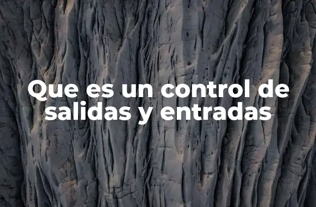 Que es un Control de Salidas y Entradas