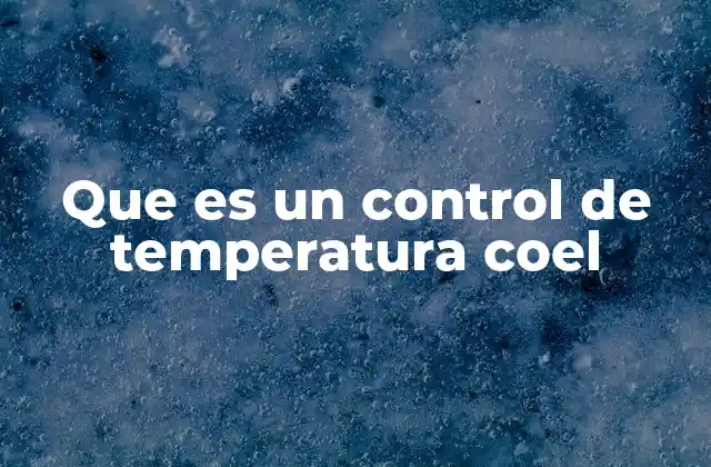 Que es un Control de Temperatura Coel 2 El rol del control térmico en procesos industriales