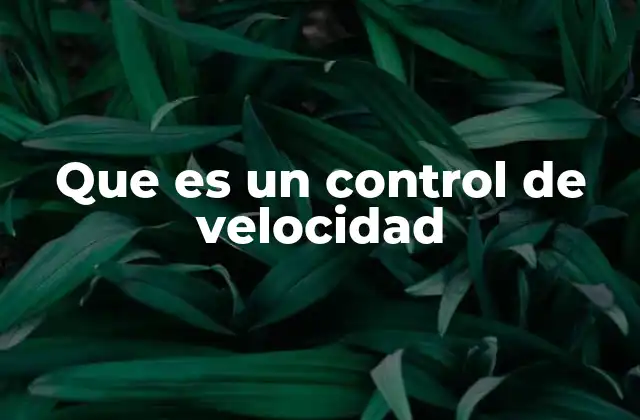 Que es un Control de Velocidad 2 El rol del control de velocidad en la tecnología moderna