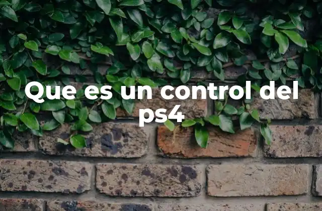 Que es un Control Del Ps4 2 Componentes y diseño del control PS4