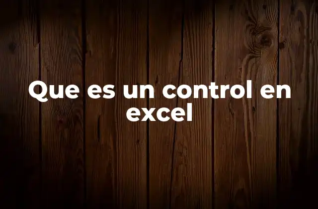 Que es un Control en Excel