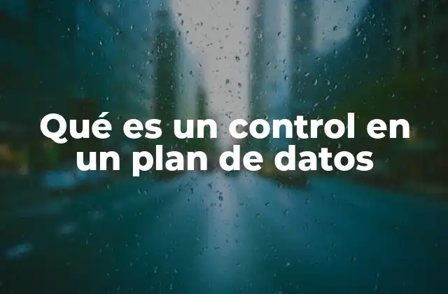 Qué es un Control en un Plan de Datos