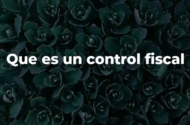 Que es un Control Fiscal